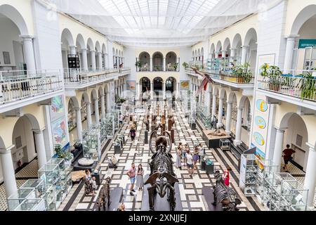 Innenraum des Geologischen Museums in Warschau, Polen Stockfoto