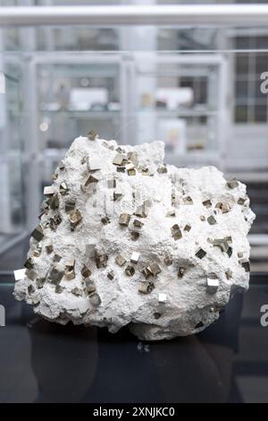 Pyritwürfel in Mergelsteinmineralien, geologisches Museum, Warschau, Polen Stockfoto