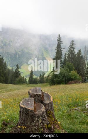 Berglandschaft in der tektonischen Arena Sardona bei Elm, Schweiz Stockfoto