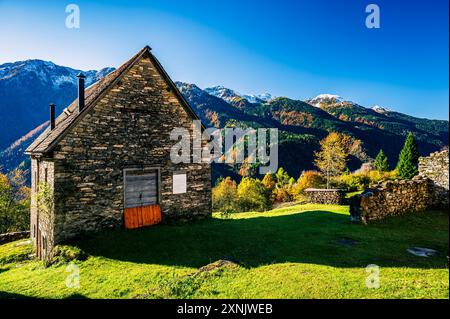 Val Pesarina in herbstlicher Atmosphäre. Zwischen Wäldern und den alten Orias-Ställen. Stockfoto