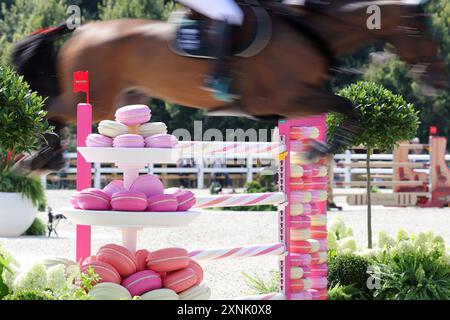 Versailles, Frankreich. August 2024. Olympia, Paris 2024, Reitsport, Springen, Team, Qualifikation, es gibt Replikate von Makronen an einem Hindernis. Quelle: Rolf Vennenbernd/dpa/Alamy Live News Stockfoto