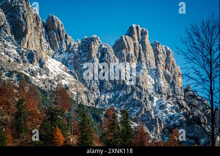 Val Pesarina in herbstlicher Atmosphäre. Zwischen Wäldern und den alten Orias-Ställen. Stockfoto