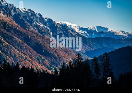 Val Pesarina in herbstlicher Atmosphäre. Zwischen Wäldern und den alten Orias-Ställen. Stockfoto