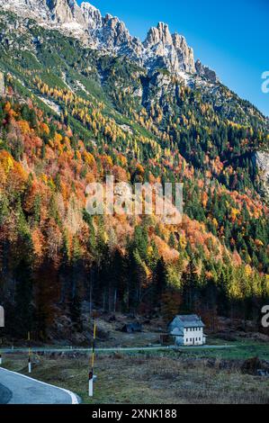 Val Pesarina in herbstlicher Atmosphäre. Zwischen Wäldern und den alten Orias-Ställen. Stockfoto