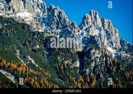 Val Pesarina in herbstlicher Atmosphäre. Zwischen Wäldern und den alten Orias-Ställen. Stockfoto