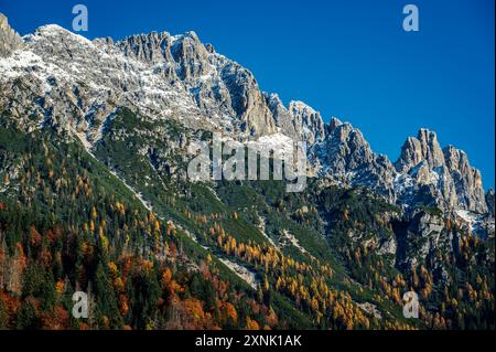 Val Pesarina in herbstlicher Atmosphäre. Zwischen Wäldern und den alten Orias-Ställen. Stockfoto