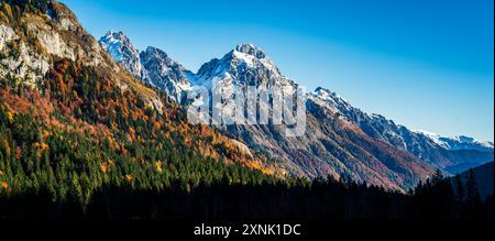 Val Pesarina in herbstlicher Atmosphäre. Zwischen Wäldern und den alten Orias-Ställen. Stockfoto