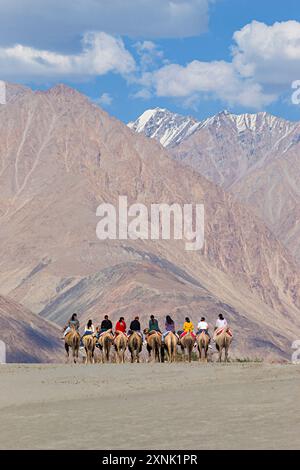 Menschen, die einen Kamelritt in den Sanddünen von Hunder, Hunder, Nubra Valley, Leh, Ladakh, Indien. Stockfoto