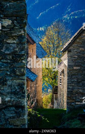 Val Pesarina in herbstlicher Atmosphäre. Zwischen Wäldern und den alten Orias-Ställen. Stockfoto