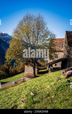 Val Pesarina in herbstlicher Atmosphäre. Zwischen Wäldern und den alten Orias-Ställen. Stockfoto