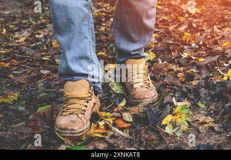 Herbstwandern durch hohes Gras im Wald. Nahaufnahme des Waldes Stockfoto