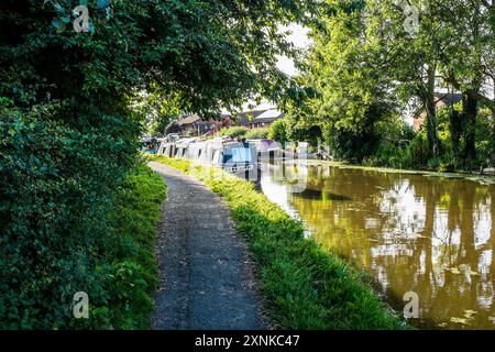 Schmale Boote auf dem Lancaster-Kanal bei Garstang. Stockfoto