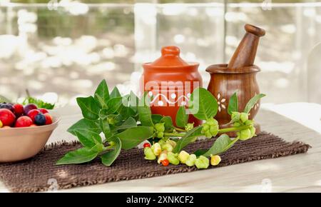 Ashwagandha mit Green Leaf in a Grinding Bowl, auch bekannt als Withania Somnifera, Poison Stachelbeere oder Winterkirsche. Isoliert auf Küchenhintergrund. Stockfoto