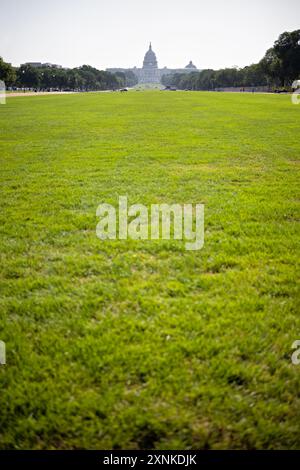 WASHINGTON, D.C., Vereinigte Staaten – das Kapitol der Vereinigten Staaten befindet sich in der Entfernung über der grasbewachsenen Weite der National Mall in Washington, D.C. die ikonische neoklassizistische Kuppel des Kapitols erhebt sich über den umliegenden Bäumen. Im Vordergrund befindet sich der gepflegte Rasen der National Mall, ein öffentlicher Park und ein Nationaldenkmal im Herzen der Hauptstadt der USA. Stockfoto