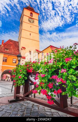 Sibiu, Rumänien. Stadtturm, Morgensommerlicht, wunderschöne Stadt in Transsilvanien. Stockfoto