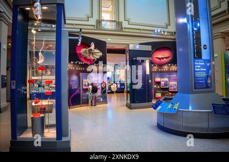 WASHINGTON DC, USA – die Ausstellung zum Tiefen Ozean im Smithsonian National Museum of Natural History zeigt die geheimnisvollen und vielfältigen Ökosysteme der tiefsten Gewässer der Welt. Diese immersive Ausstellung zeigt Modelle, Exemplare und interaktive Elemente, die die weitgehend unerforschten Abgrund- und Hadalzonen für Besucher zum Leben erwecken. Stockfoto