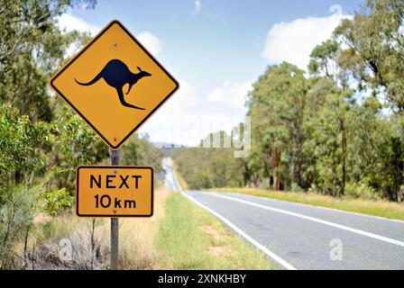 DARLING DOWNS, Queensland, Australien – entlang einer Straße in der Outback-Region der Darling Downs steht Ein Warnschild mit Känguru. Das charakteristische gelbe, diamantförmige Schild warnt Fahrer auf das potenzielle Vorhandensein von Kängurus, ein häufiger Anblick in dieser ländlichen Gegend im Südosten von Queensland. Stockfoto