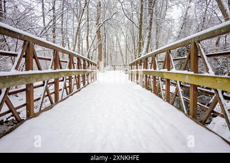 ARLINGTON, Virginia, USA – Eine verschneite Winterszene im Rock Spring Park fängt die ruhige Schönheit von Arlington, Virginia, ein. Der schneebedeckte Park zeigt die ruhige und malerische Winterlandschaft und lädt Besucher ein, Outdoor-Aktivitäten und die natürliche Schönheit der Saison zu genießen. Stockfoto