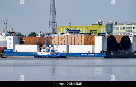 31. Juli 2024, Mecklenburg-Vorpommern, Stralsund: Der Schwerlastponton „BHV Innovation“ wird mit runden Stahlpfählen beladen. Die Monopiles für Windturbinen sollen in der Volkswerft Korrosionsschutz erhalten. Monopiles werden beim Bau von Offshore-Windturbinen eingesetzt. Foto: Stefan sauer/dpa/ZB Stockfoto