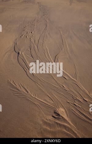 Nach der Flut am Freshwater West Beach in Pembrokeshire, Wales, Großbritannien Stockfoto