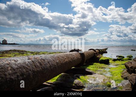 Die alte Abwasserleitung in Elie Fife Scotland erstreckt sich bis zum Meer, wenn die Flut ausgeht Stockfoto