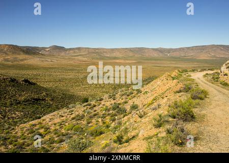 Eine kleine unbefestigte Straße, die über einen Bergpass in den trockeneren Buden von Namaqualand in Südafrika führt. Stockfoto