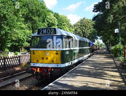 Vintage British Rail Class 31 oder Brush Type 2 Diesellokomotive Ai Bahnsteig. Stockfoto