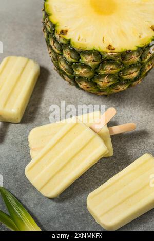 Gesunde Ananas Pina Colada Eis mit Kokos Stockfoto