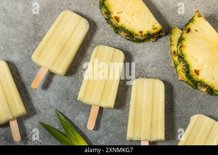 Gesunde Ananas Pina Colada Eis mit Kokos Stockfoto