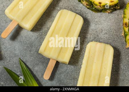 Gesunde Ananas Pina Colada Eis mit Kokos Stockfoto