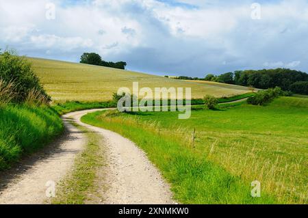 Ein ruhiger Pfad schlängelt sich durch pulsierende Felder, umgeben von üppigem Grün und einem dramatischen Himmel, lädt zu Erkundungen und Reflexionen in der Natur ein. Stockfoto