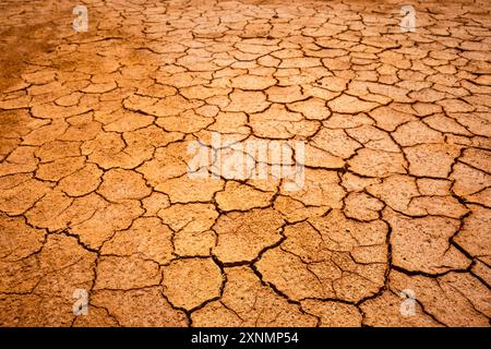 Trockener und geschälter Boden, ehemalige Salzproduktion, SES salines. Mongofre Nou. Menorca. Balearen. Spanien. Stockfoto