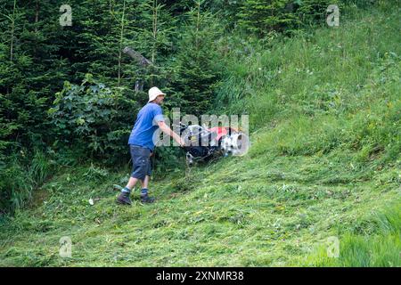 Gimmelwald, Schweiz - 23. Juli 2024: Man verwendet einen Rasenmäher als einachsigen, handgeführten Traktor. Er verfügt über Spezialreifen für das Mähen steiler Hänge im Stockfoto