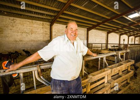 Jaume Pons, handwerkliche Herstellung von Mahon-Käse, Alcaiduset, Alaior, Menorca, Balearen, Spanien Stockfoto