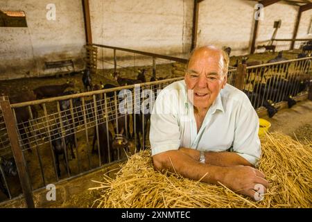 Jaume Pons, handwerkliche Herstellung von Mahon-Käse, Alcaiduset, Alaior, Menorca, Balearen, Spanien Stockfoto