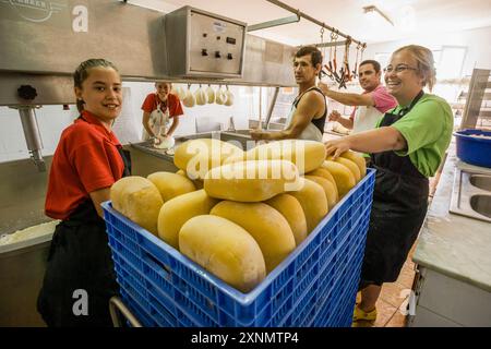 Handwerkliche Herstellung von handwerklichem Mahon-Käse, Alcaiduset, Alaior, Menorca, Balearen, Spanien Stockfoto