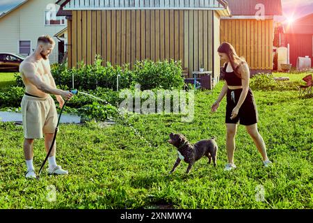 Ein amerikanischer Tyrannehund trinkt Wasser aus dem Gartenschlauch, während er mit seinen jungen weißen Besitzern im Hinterhof eines ländlichen Hauses spaziert. Stockfoto