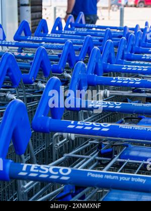 Reihe geparkter Trollies oder Einkaufswagen außerhalb von Tesco mit einem Arbeiter in unscharfem Hintergrund in Faringdon, Oxfordshire, England, Großbritannien Stockfoto