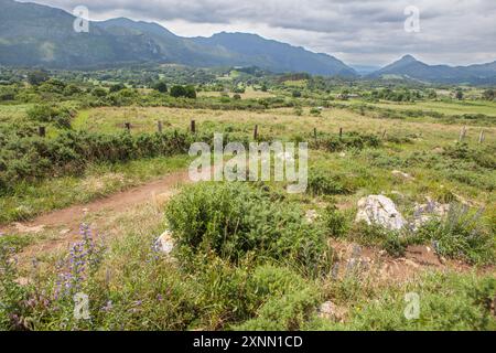 Fußgängerweg neben den Klippen der Hölle, Ribadesella Eastern Asturias, Spanien Stockfoto