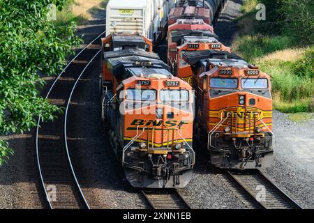 Everett, WA, USA - 17. Juli 2024; Paar von BNSF-Güterzügen auf Kurve mit mehreren orangen Lokomotiven Stockfoto