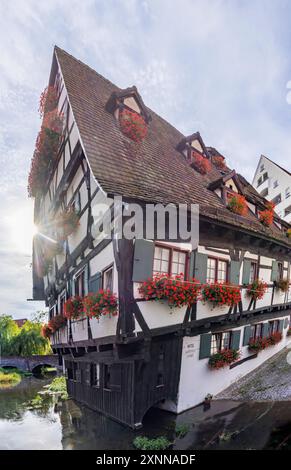 Schiefes Haus im historischen Fischerviertel an der Donau in Ulm. Das Fachwerkhaus wurde 1443 erbaut. Im Guinness Buch der Rekorde ist das Gebäude als schiefstes Hotel der Welt aufgeführt. // 29.07.2024: Ulm, Baden-Württemberg, Deutschland *** Schiefes Haus im historischen Fischerviertel an der Donau in Ulm das Fachwerkhaus wurde 1443 erbaut das Gebäude ist im Guinness-Buch der Rekorde als das schiefste Hotel der Welt gelistet 29 07 2024 Ulm, Baden Württemberg, Deutschland Stockfoto