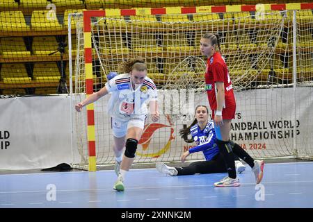 Skopje, Mazedonien-7 30 2024. Endspiel zwischen Frankreich und Ungarn. Frankreich gewann den Titel. Die IHF U20 Handball-Weltmeisterschaft der Frauen 2024.d Stockfoto