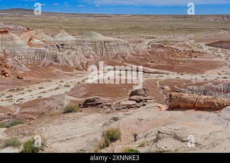 Versteinerter Baumstamm auf dem Badlands mesa Ridge mit Blick auf das offene Grasland der Painted Desert im Petrified Forest National Park Stockfoto