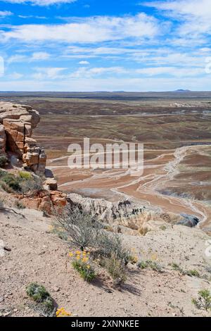 Frühlingsblumen auf erodierenden Klippen verleihen den bunten Badlands der Painted Desert im Nordosten Arizonas Gelb Stockfoto