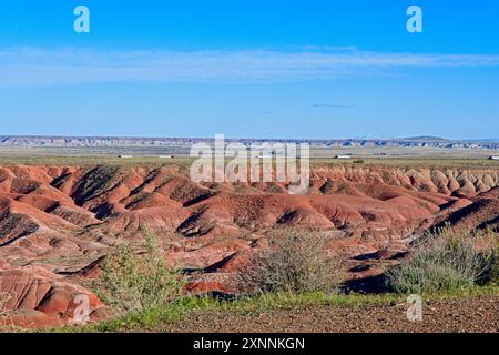 Güterwagenlinie auf der Interstate 40 durch buntes Grasland der Painted Desert im Nordosten Arizonas Stockfoto