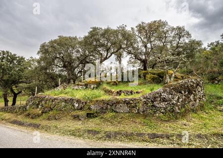 Wandern auf einer Wanderroute am Portalegre in Portugal. Percurso Pedestre de Galegos Stockfoto