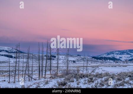 Sonnenaufgang über Lamar Valley am kalten Wintermorgen, Yellowstone National Park, Wyoming, Nordamerika Stockfoto
