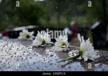 Blumen bei der Beerdigung Stockfoto