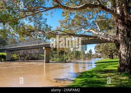 Fußgängerbrücke zum CBD über den geschwollenen, schlammigen Peel River Tamworth NSW Australien. Stockfoto