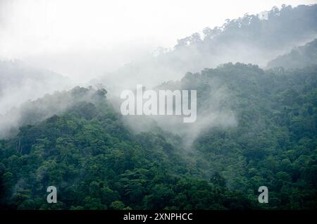 Wolken, die über einem bewaldeten Hügel in Penang, Malaysia, Rollen Stockfoto